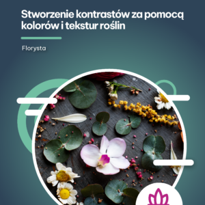 Stworzenie kontrastów za pomocą kolorów i tekstur roślin (e-book