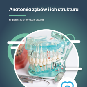 Anatomia zębów i ich struktura (a-book)