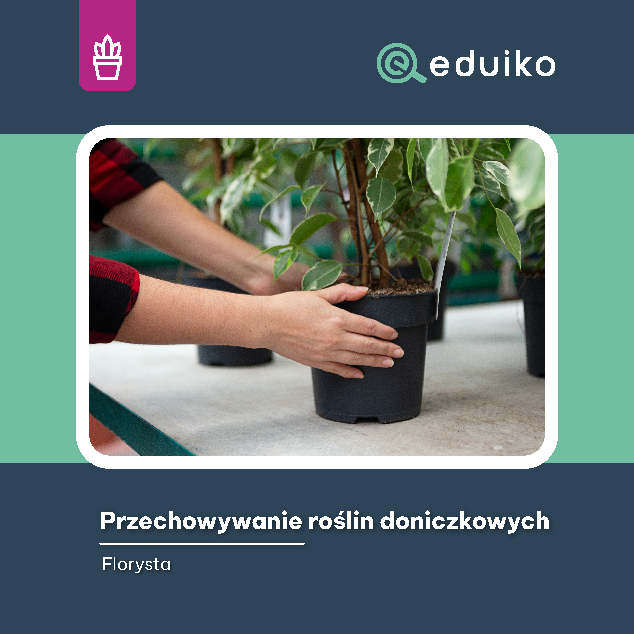 Z.PAKIET 5_FLO pakiet 1