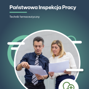 Państwowa Inspekcja Pracy (e-book)