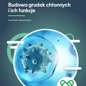 Budowa grudek chłonnych i ich funkcje (e-book)