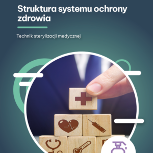 Struktura systemu ochrony zdrowia  (e-book)