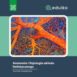 Anatomia i fizjologia układu limfatycznego (audiobook)