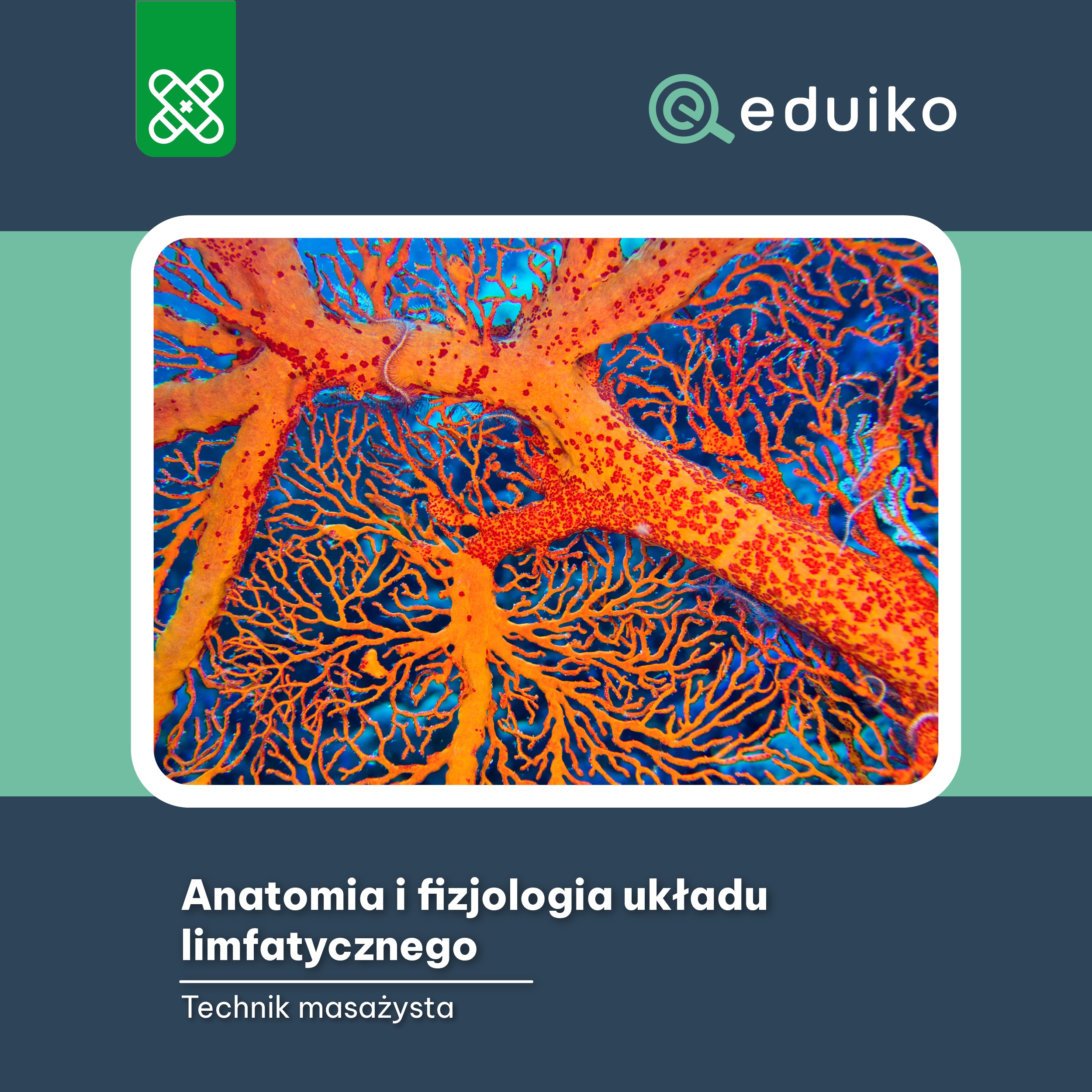 z.OKŁADKA_TM
