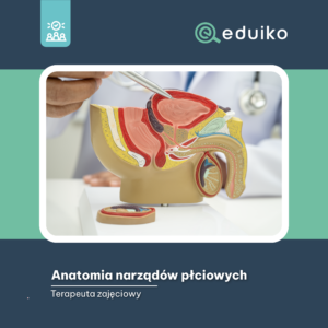Anatomia narządów płciowych (audiobook)