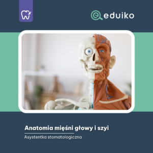 Anatomia mięśni głowy i szyi (audiobook)